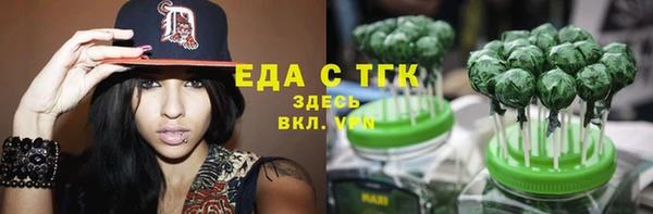 прущие грибы Богданович