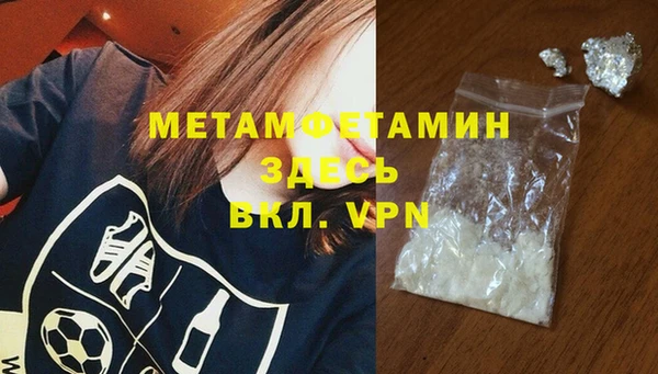 прущие грибы Богданович