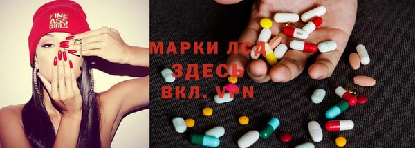 прущие грибы Богданович