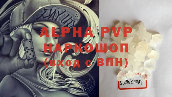 PSILOCYBIN Богородицк