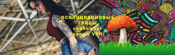 прущие грибы Богданович