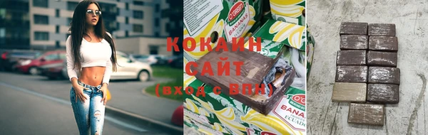 прущие грибы Богданович