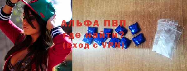 прущие грибы Богданович